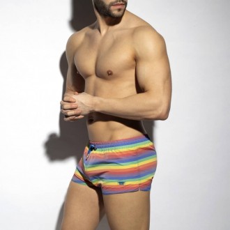 2304 MULTI STRIPES SWIM SHORTS