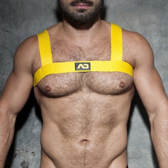 BASIC ELASTIC HARNESS