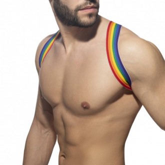 RAINBOW SPIDER HARNESS